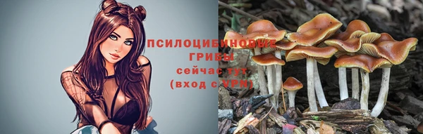 ГАЛЛЮЦИНОГЕННЫЕ ГРИБЫ Абаза