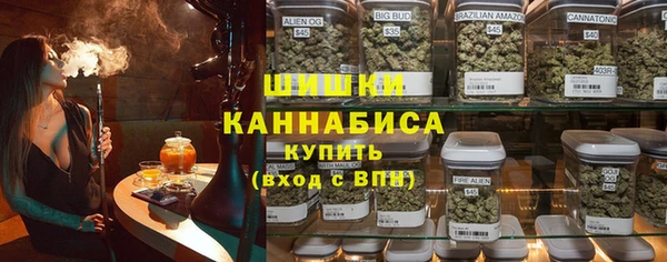 ГАЛЛЮЦИНОГЕННЫЕ ГРИБЫ Абаза