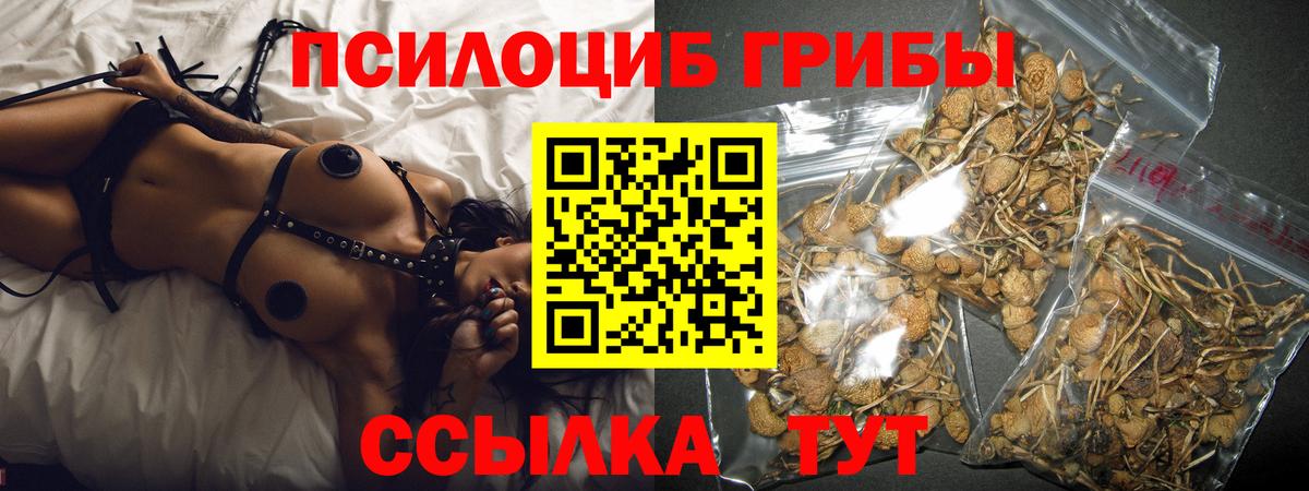 Псилоцибиновые грибы Cubensis  купить закладку  Оренбург  Вход с VPN 