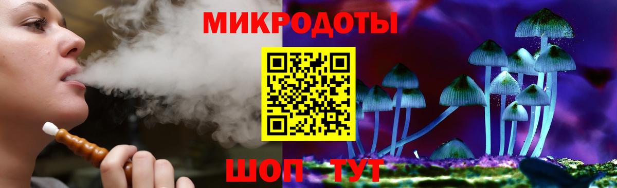 Псилоцибиновые грибы Psilocybe Оренбург